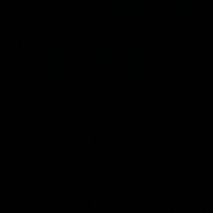 Meet your Posher, Calvin